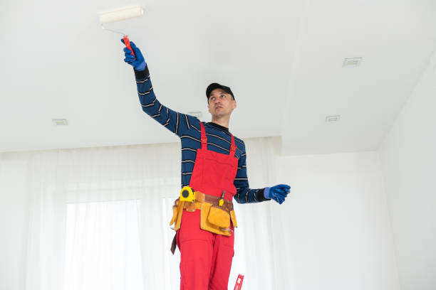 Best Fire-Damaged Drywall Repair  in Foley, MN